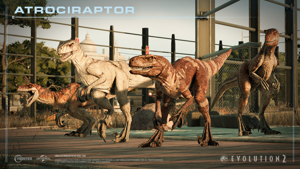  Atrociraptor 2.jpg