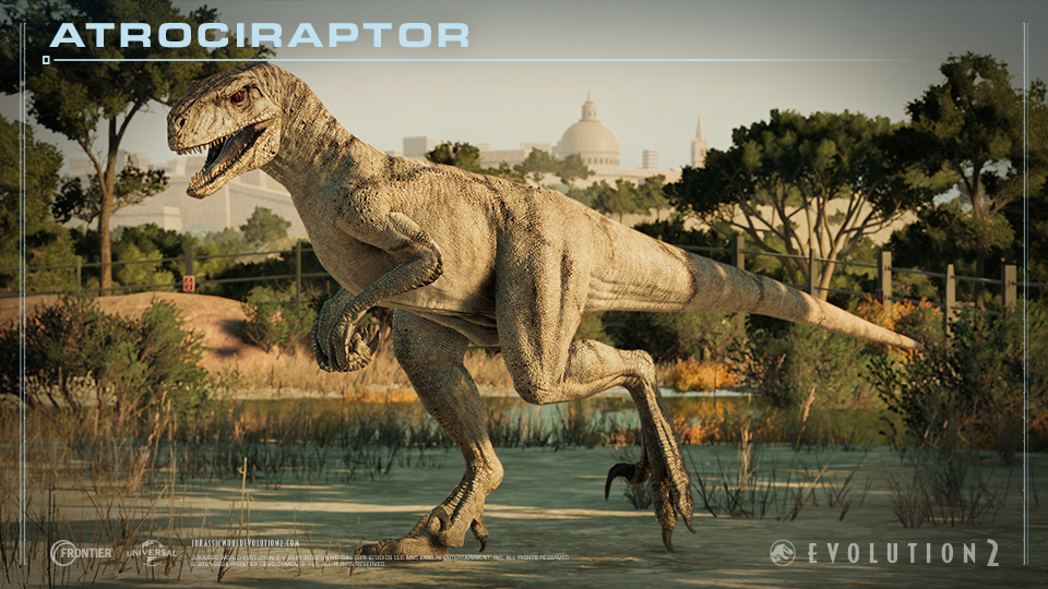 Atrociraptor.jpg