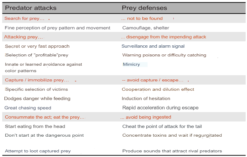Attack x Defense.translated.jpg