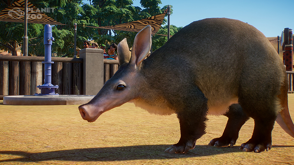 aug29_aardvark-jpg.141771