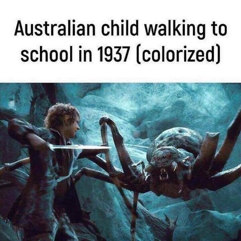 aussie.jpg