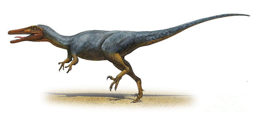 austroraptor-cabazai-a-prehistoric-era-sergey-krasovskiy.jpg