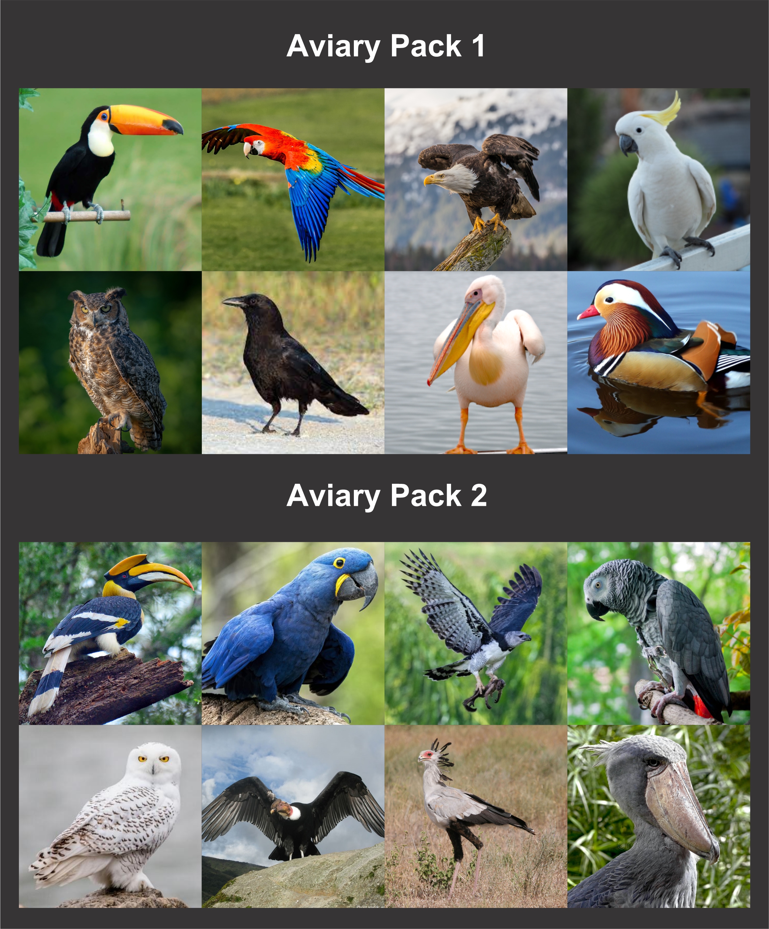 AVIARY PACK.jpg