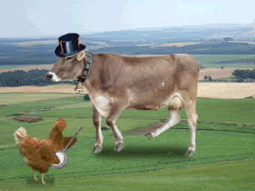 ba7f2ff841a8e80f5cd8a3f8d5319acd.gif