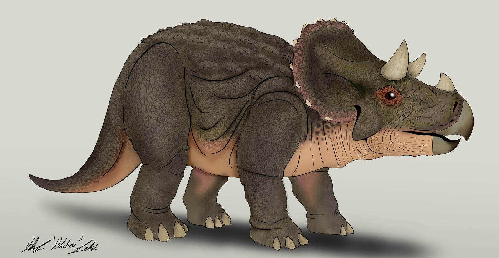 baby_triceratops_by_nikorex_ddkob2c-fullview.jpg