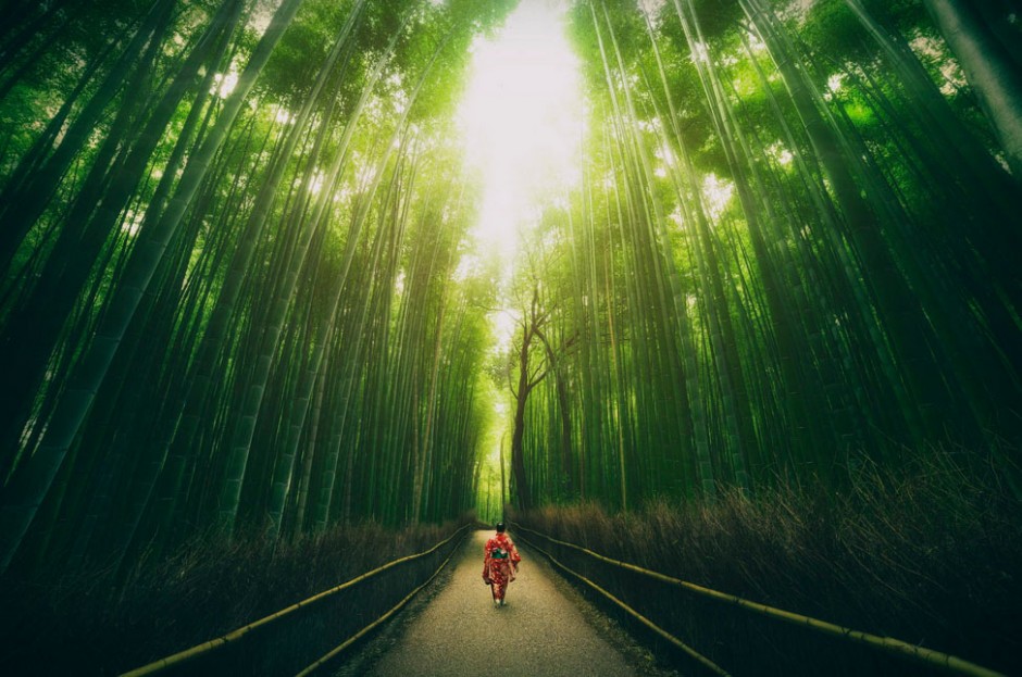 bamboo-forest1-940x623.jpg