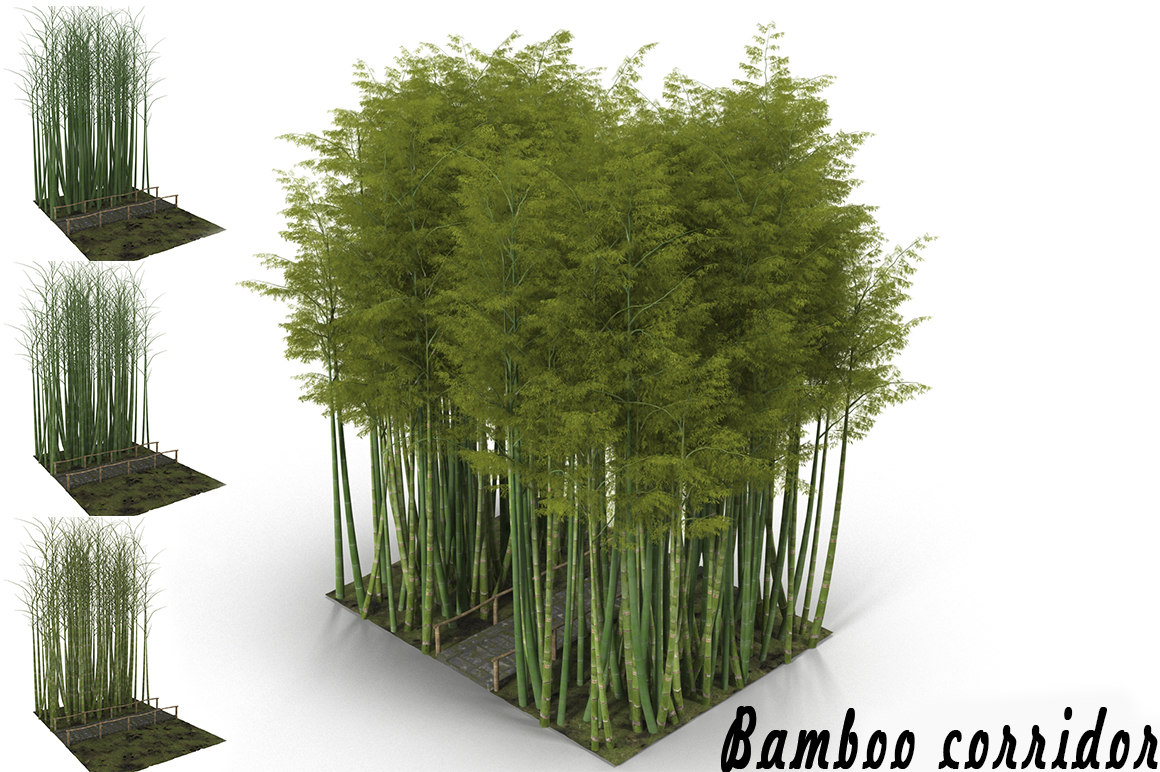 bamboo88.jpg