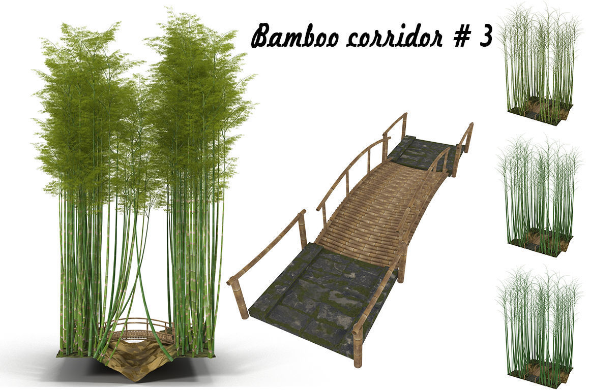 bamboo988.jpg