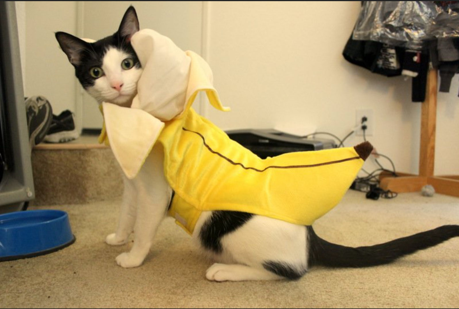 banana.jpg