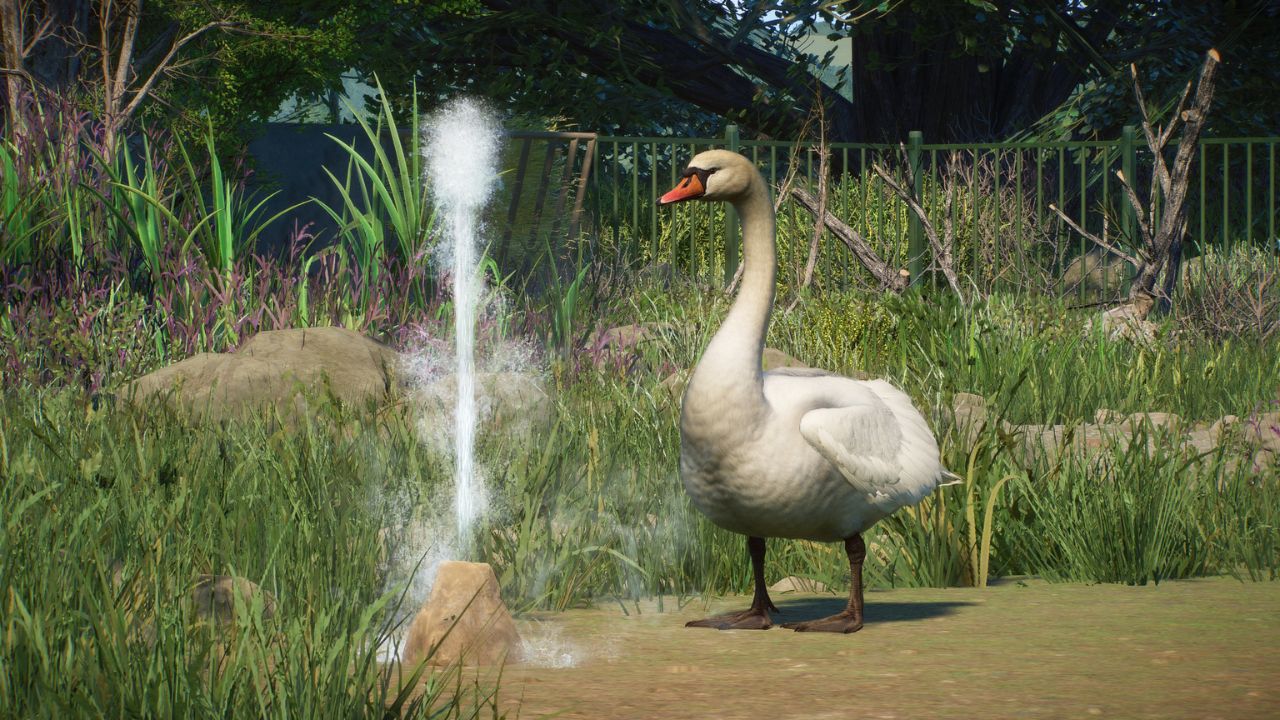Barnyard Pack Vid Thumbnail (12).jpg