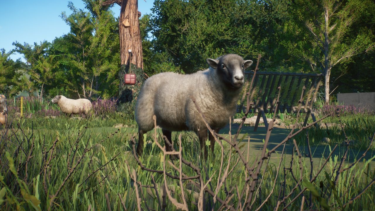 Barnyard Pack Vid Thumbnail (14).jpg