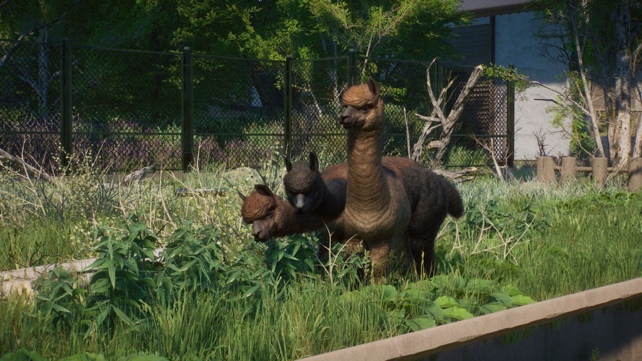 Barnyard Pack Vid Thumbnail (8).jpg