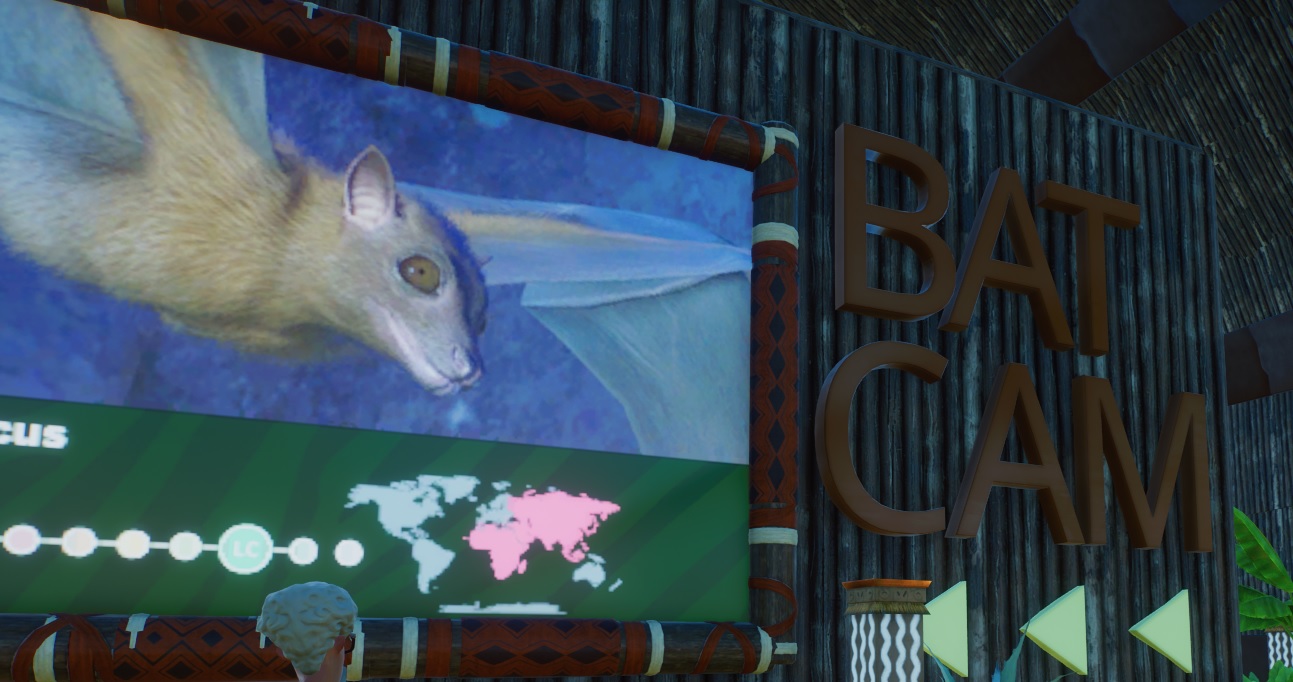 Bat Cam.jpg