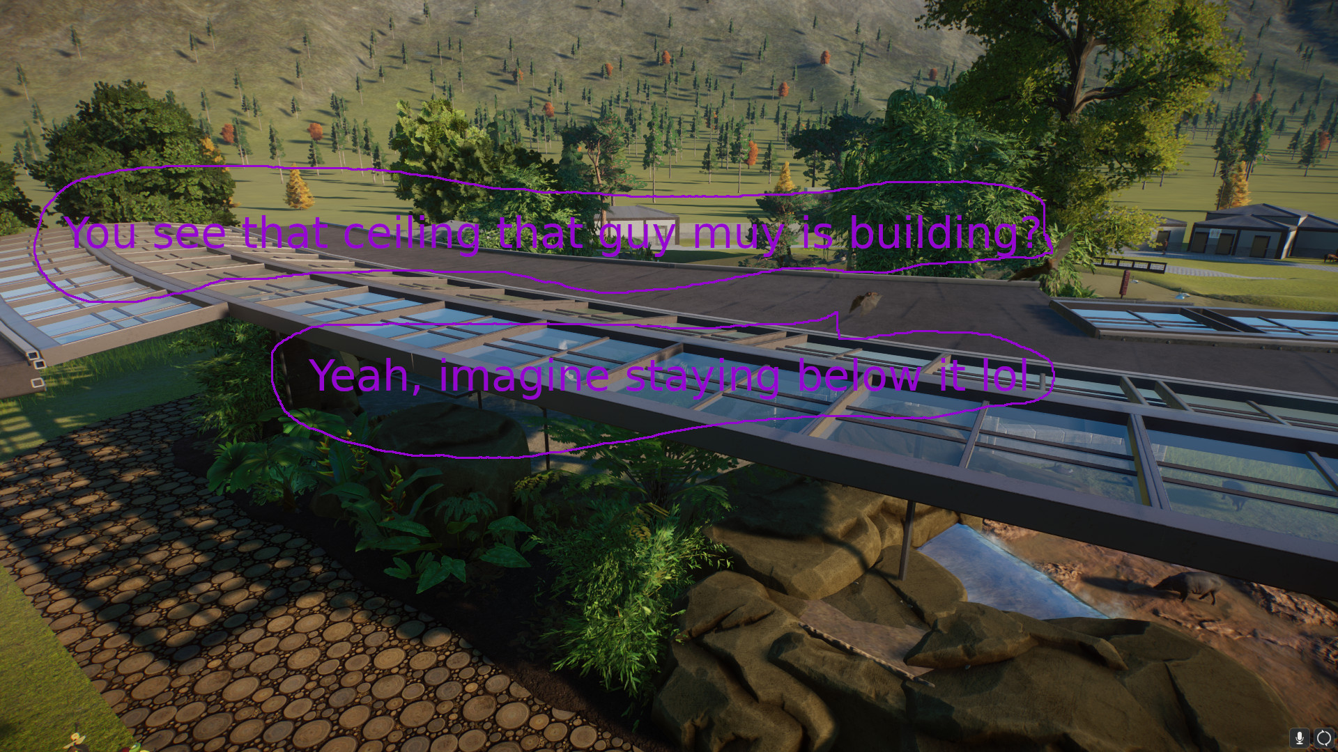 bat.jpeg