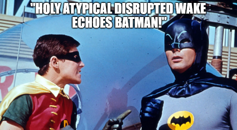 Batman and Robin 01.png