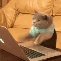 BCAC3A9D-50DB-451C-BE2A-8F8B8A00409C.gif