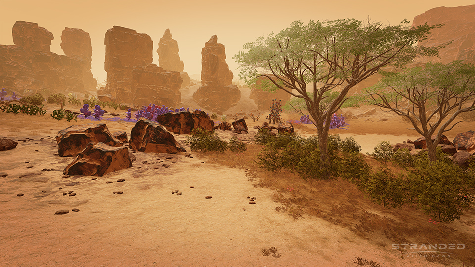 BCN_Screenshot_Resize_SAD_D_20221020_5_960x540_WM.jpg