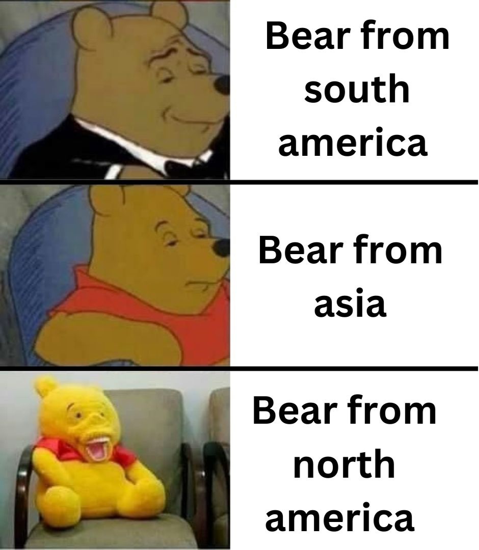 Bear from south america.jpg