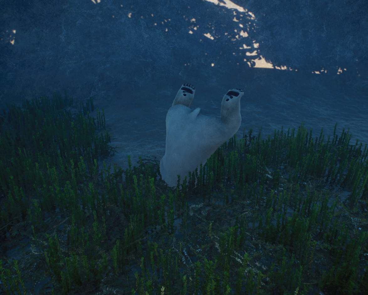 bearplant1.jpg