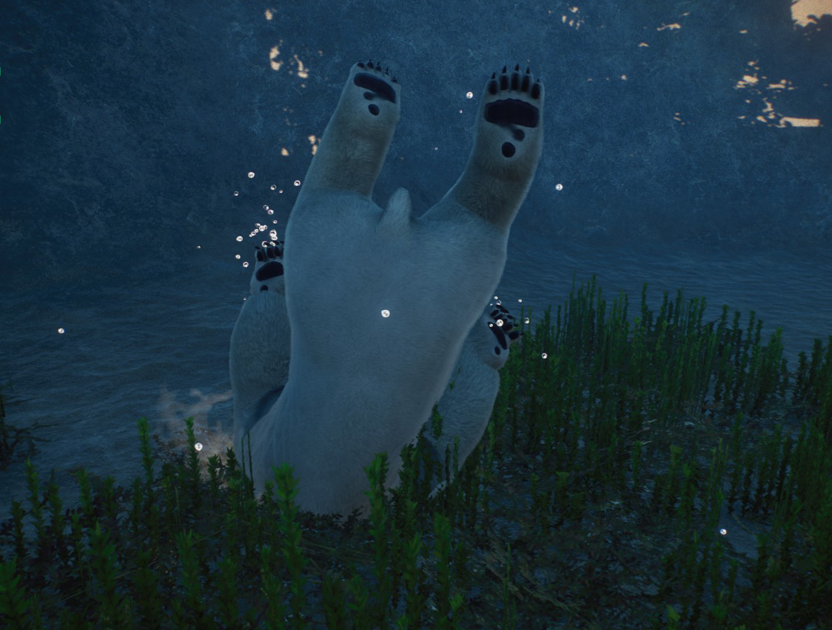 bearplant2.jpg