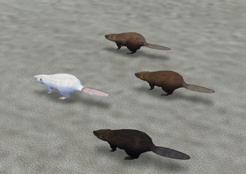 Beaver.png