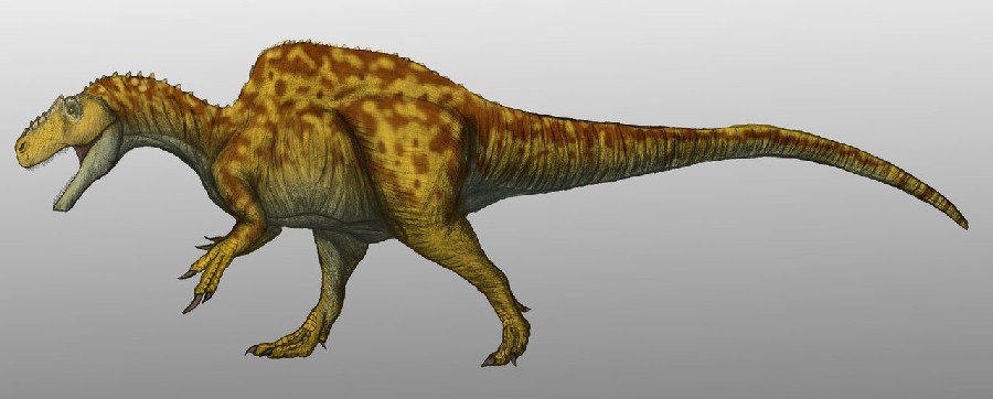 becklespinax-dinosaurs1.jpg