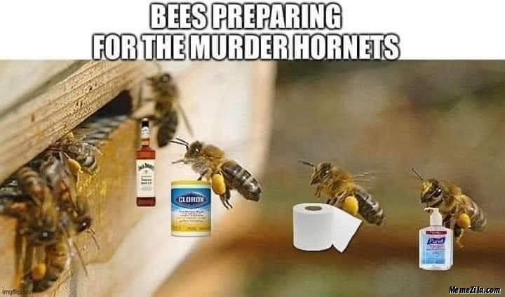 Bees-preparing-for-the-murder-hornets-meme-3189.jpg