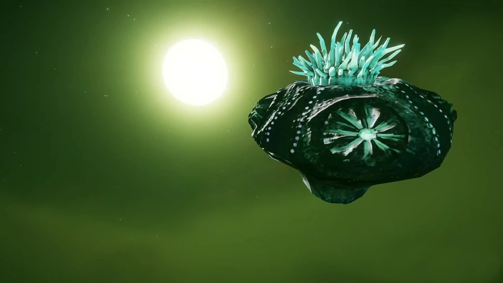 Bell-Mollusc.jpg