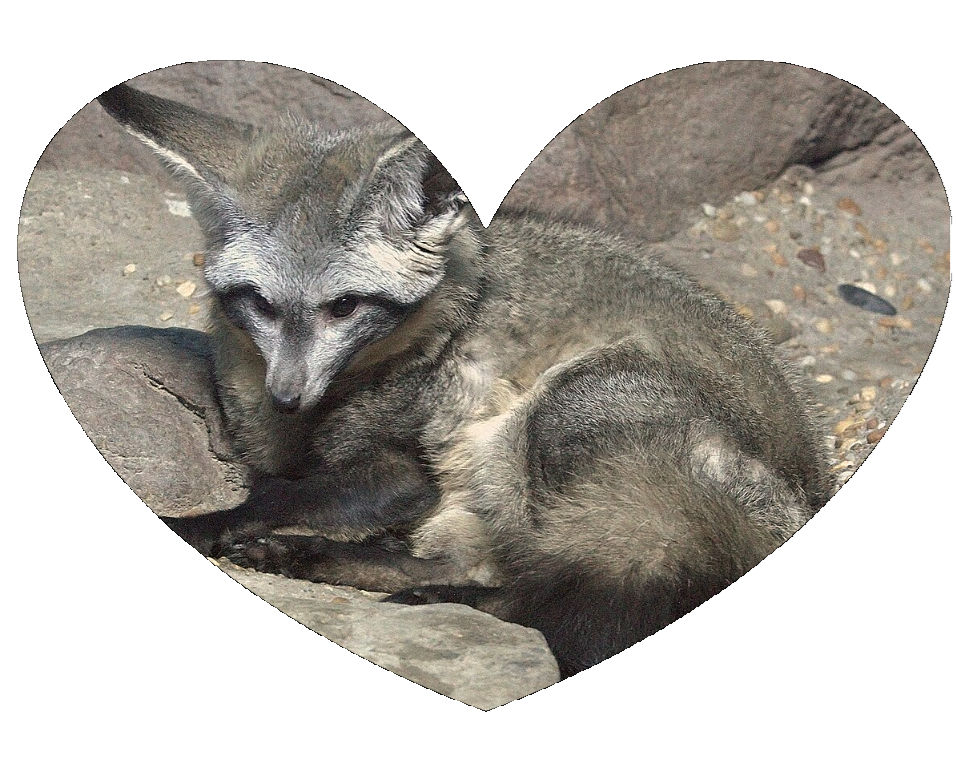 beloved.png