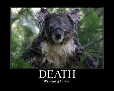 bf2c23574e3591196c436cce9fe8e8f6.jpg