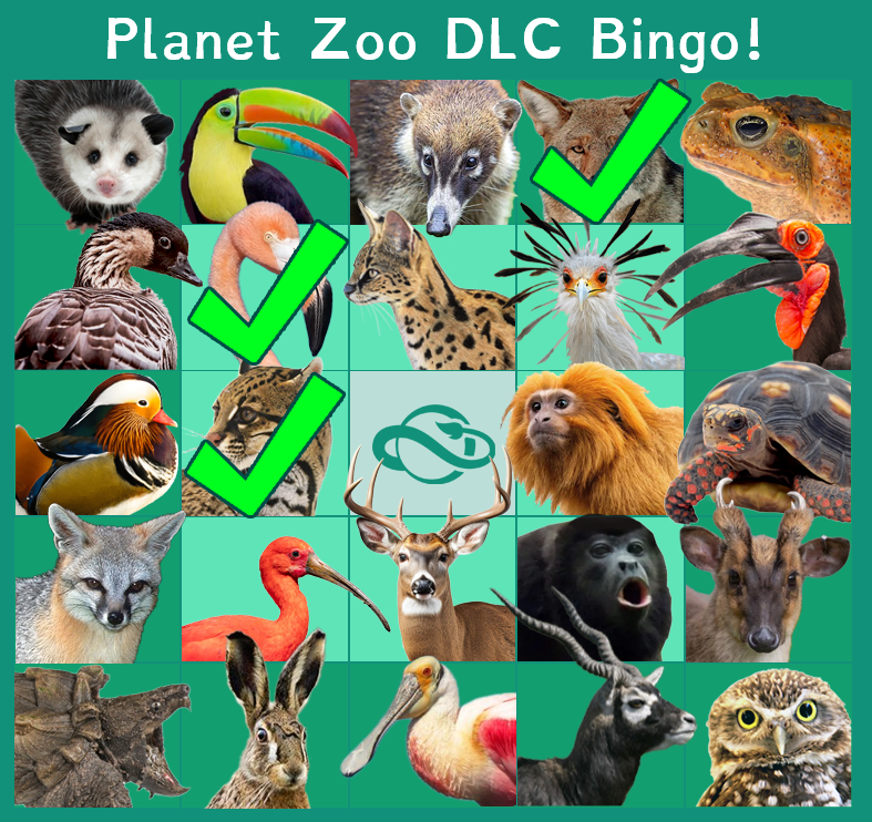 bingo.png