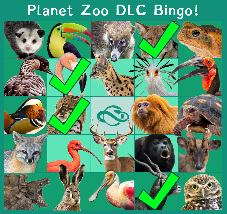 bingo.png