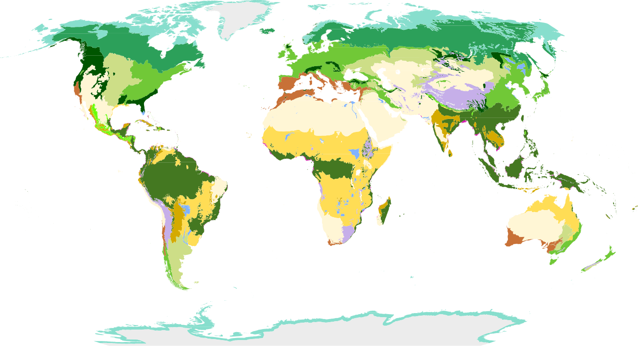 Biomes_of_the_world.svg.png