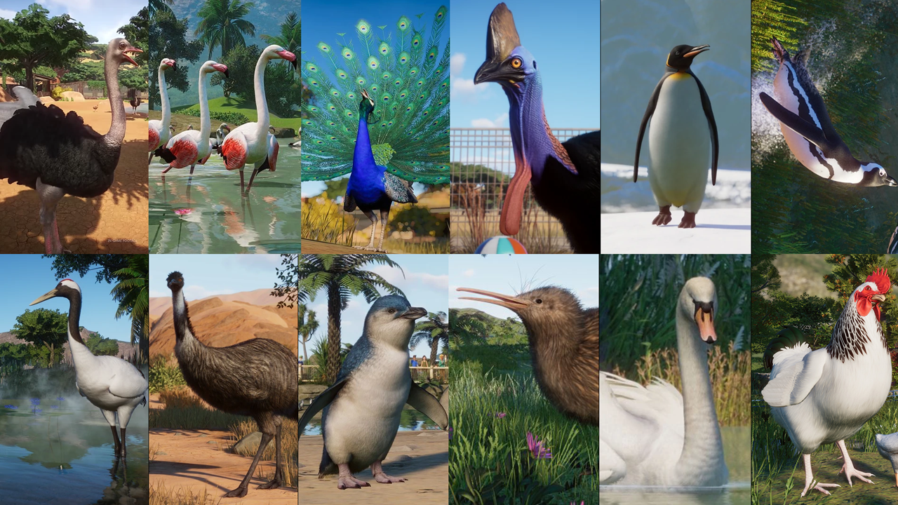 bird fam planet zoo small 2024.png