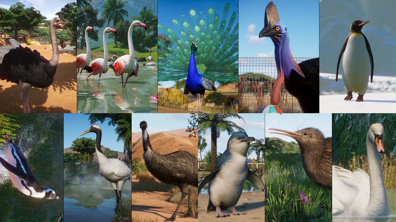 bird fam planet zoo small.png