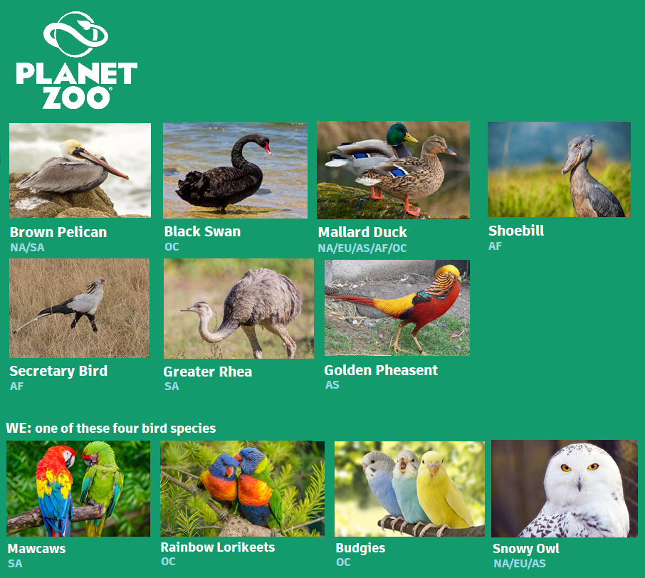 Bird Pack.png