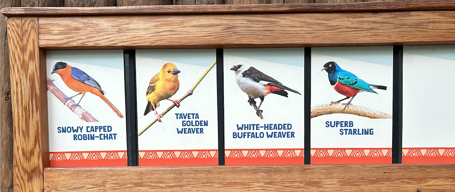 birds.png
