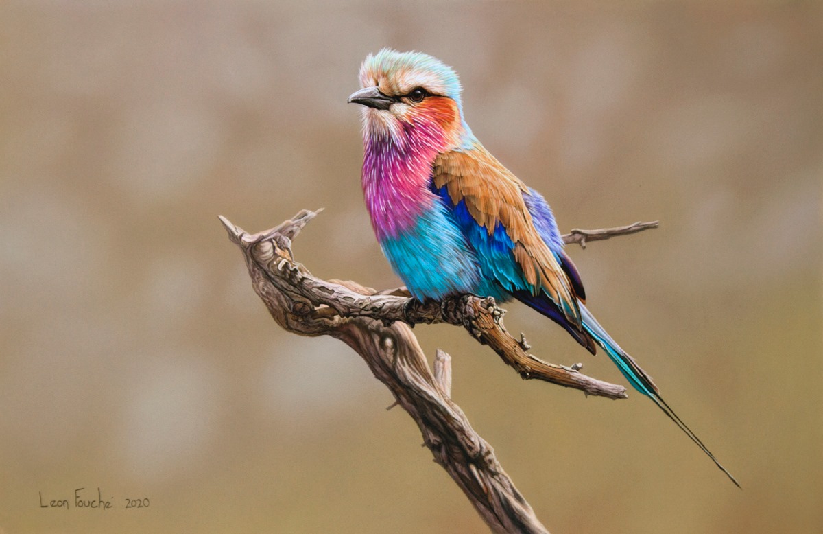 birds003.jpg