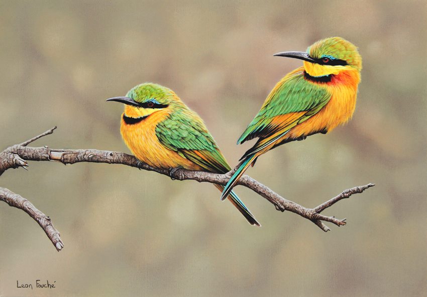 birds217900.jpg