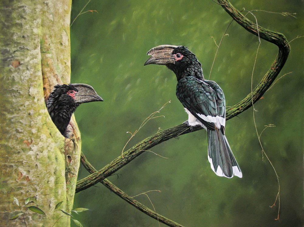 birds217998.jpg