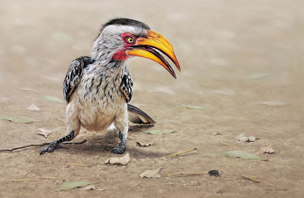 birds2887.jpg