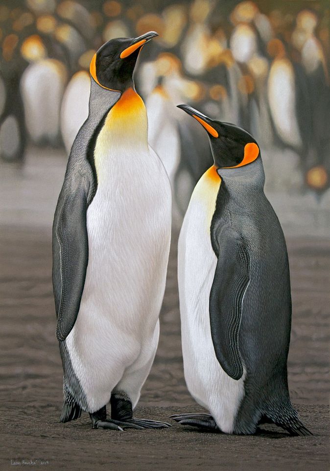 birds556.jpg