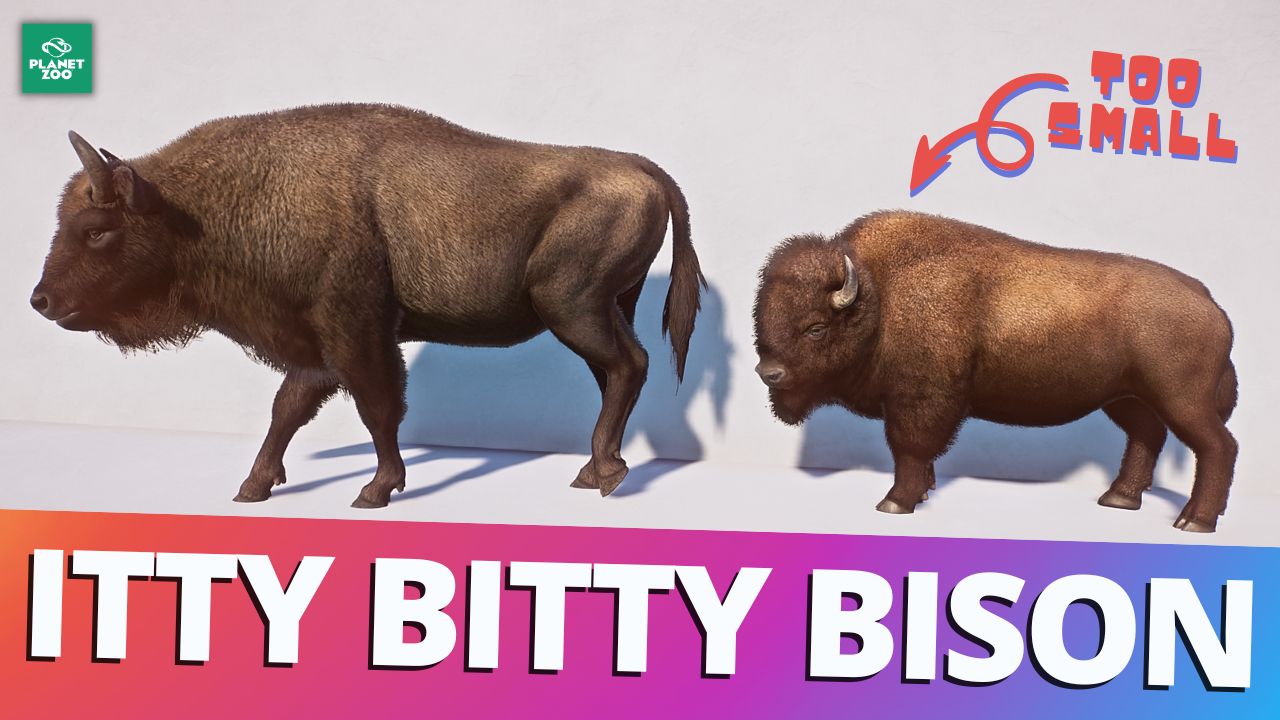 Bison.jpg