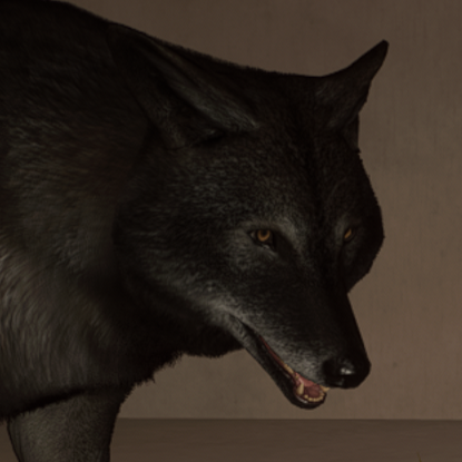 Black Wolf Avatar.png