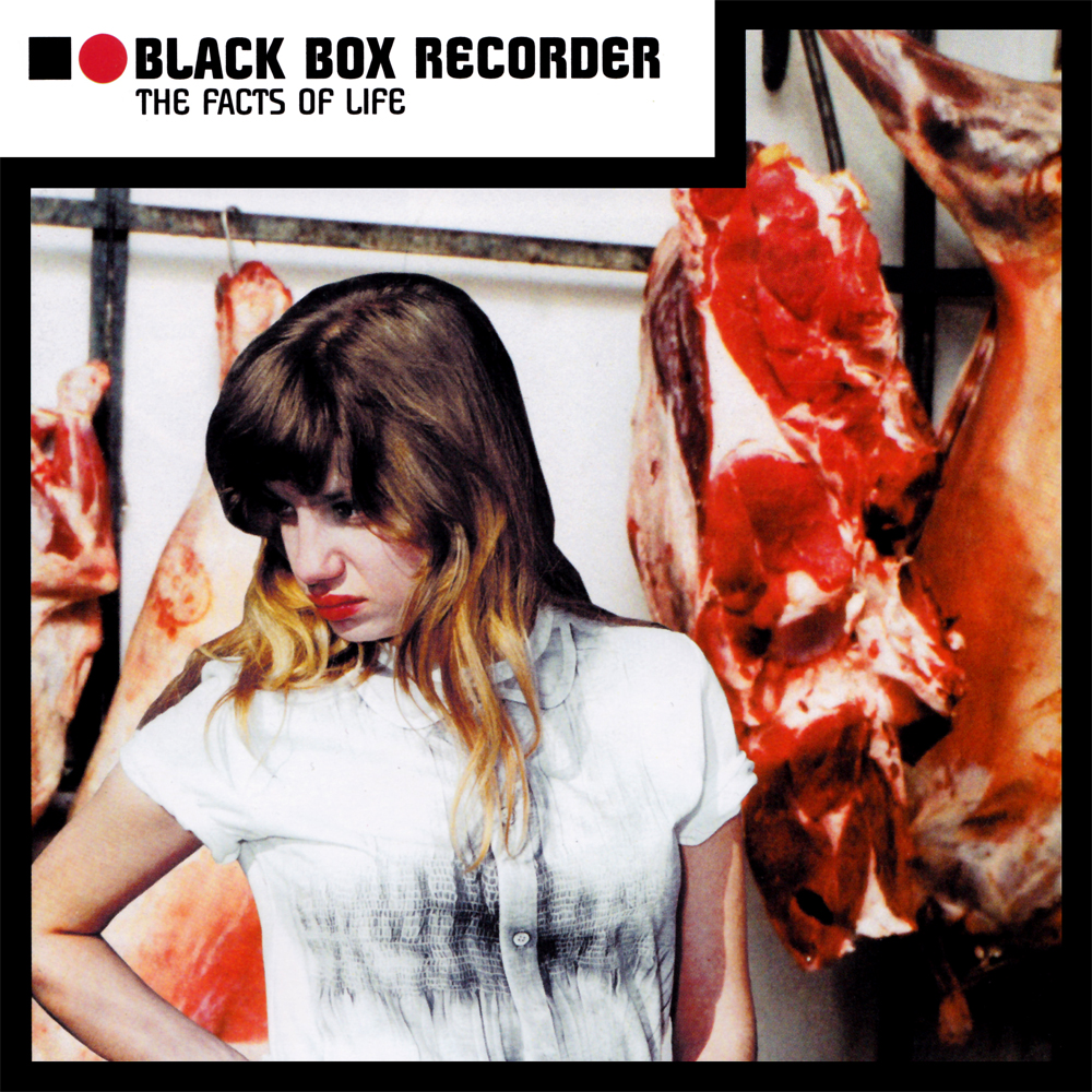 blackboxrecorder meat.jpg
