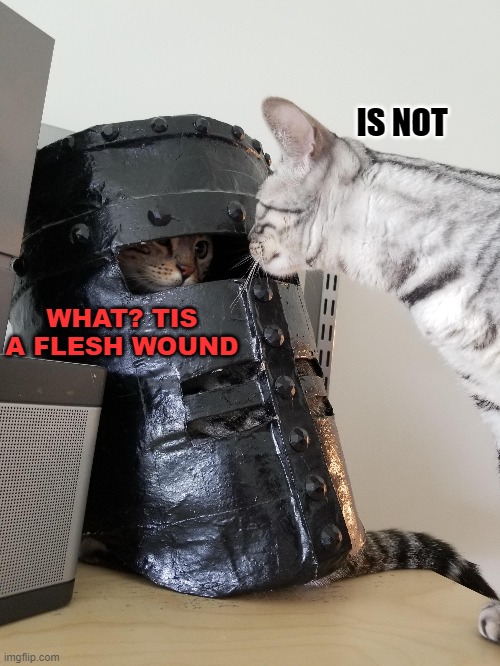blackKnightbetterthanTwilight.jpg