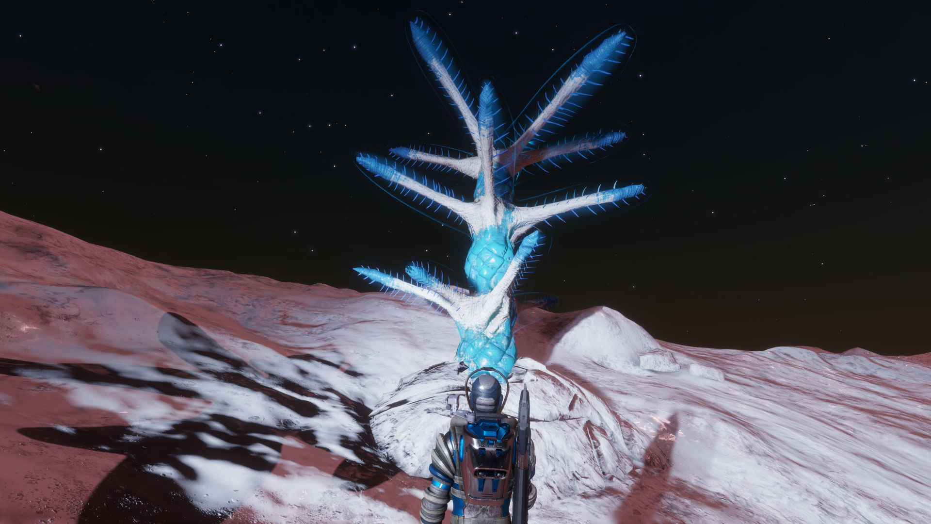 blue-tree.jpg
