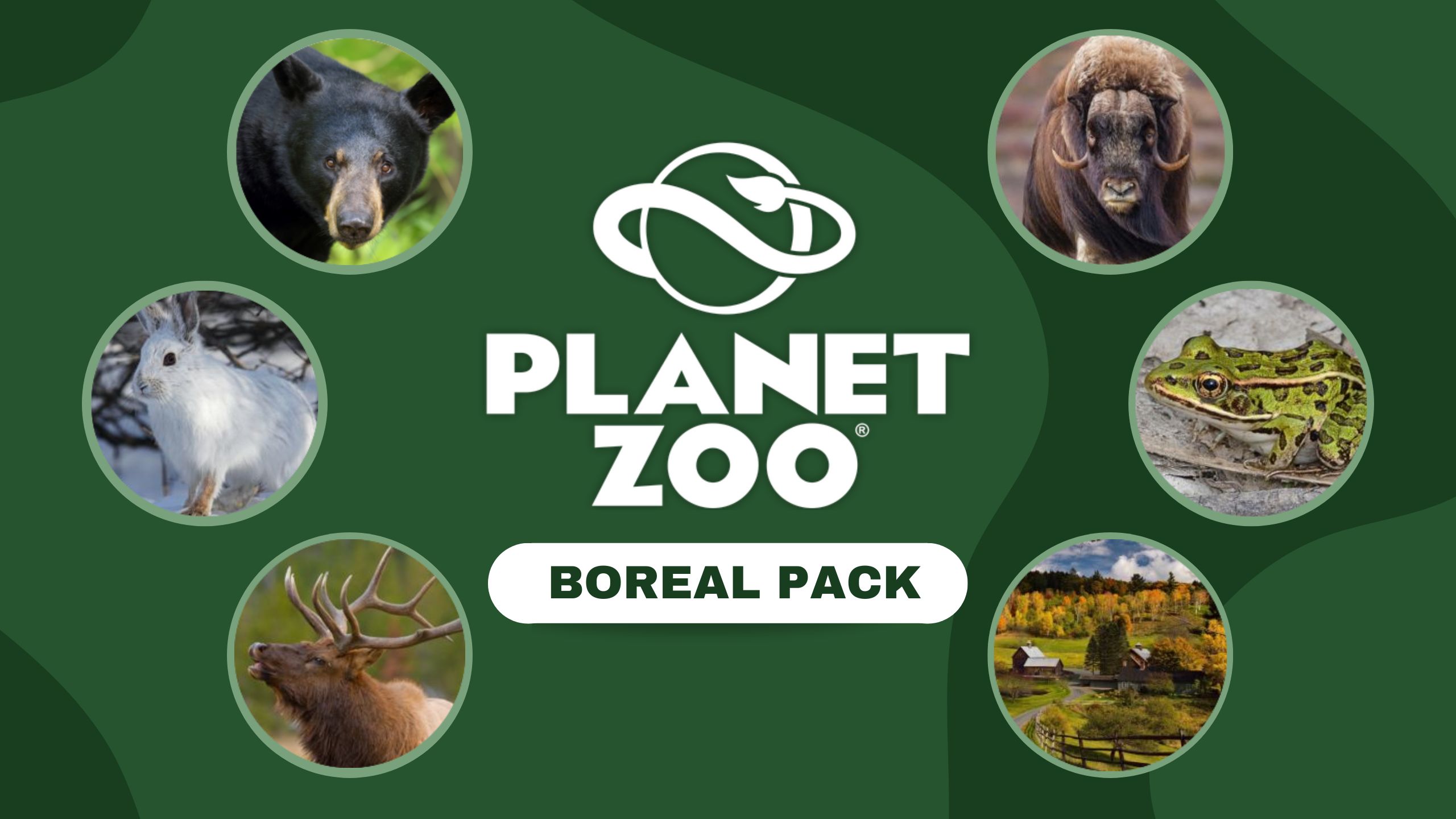 BOREAL PACK.jpg