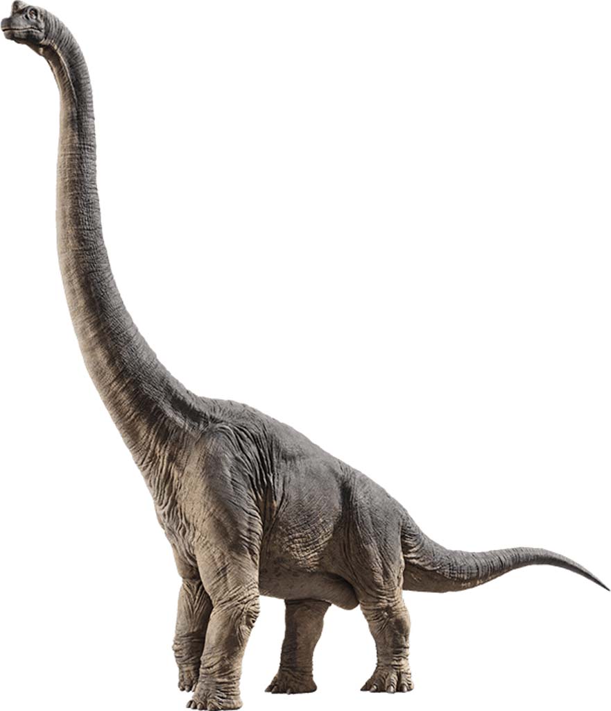 Brachiosaurus.jpg