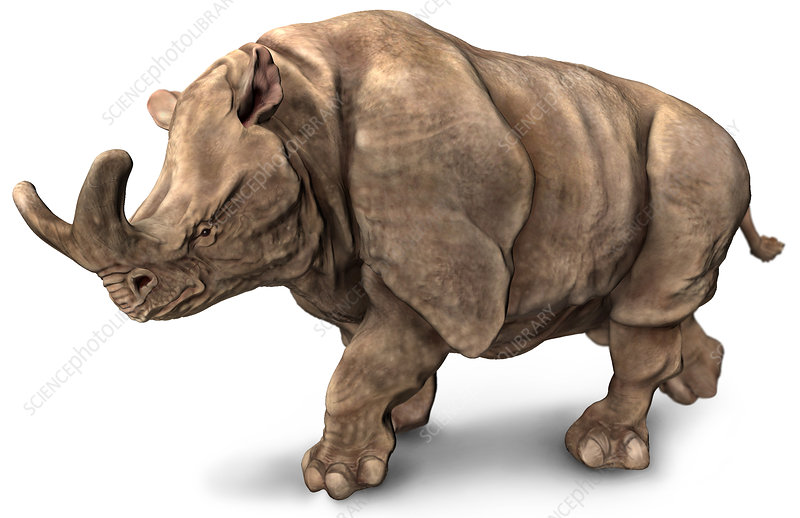brontoterio.jpg